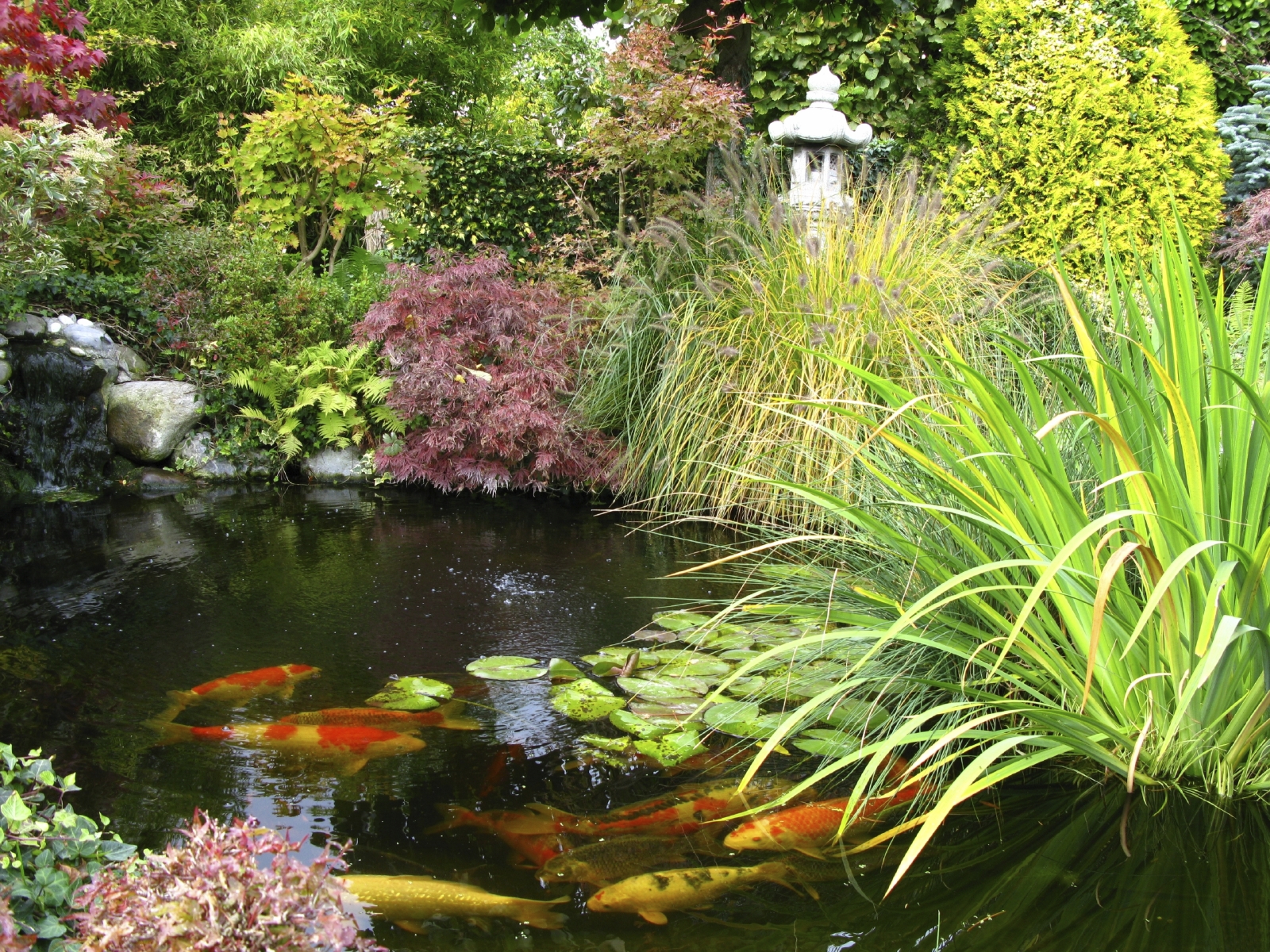 iStock_000007957703_Medium