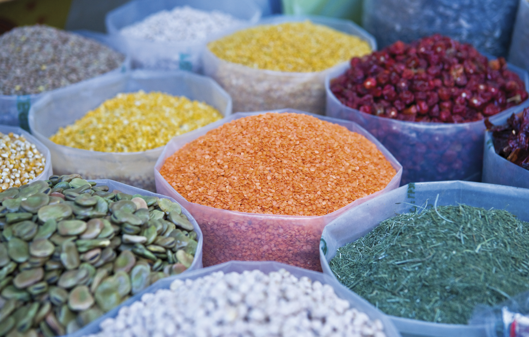 iStock_000019348245_Medium